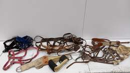 10pc Lot of Assorted Horse Tack