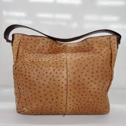 Donald J. Pliner, Bags, Donald J Pliner Snakeskin Bag