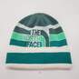 The North Face Retro Logo Sage Green Beanie image number 1