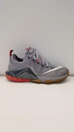 Nike Lebron James Earned 23 724557-014 Gray Zoom Sneakers Men's Size 8.5