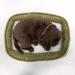 Perfect Pettzzz Sleeping Chocolate Labrador Toy With Bed alternative image