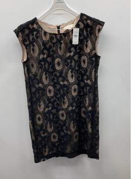 Loft Women's Tan And Black Lace Short Sleeve Dress Sz 0 NWT