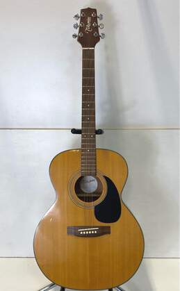 Takamine Acoustic Guitar - G Series