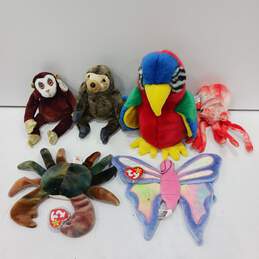 Lot of 6 Assorted Beanie Babies