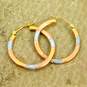 14K Tri Color Yellow Rose & White Gold Hoop Earrings 1.2g image number 1