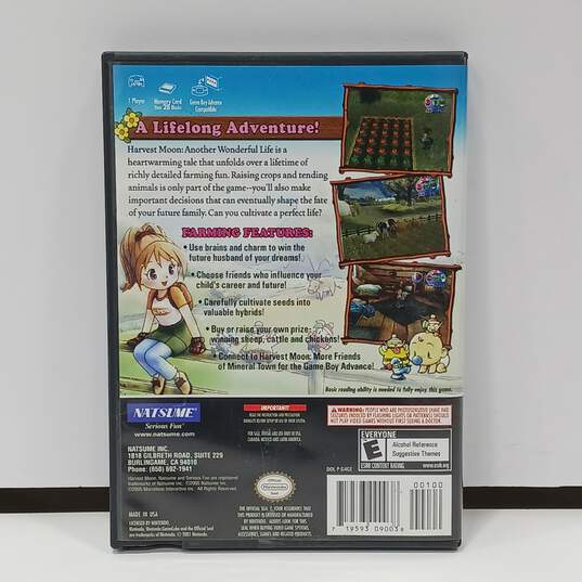 Buy the Harvest Moon Another Wonderful Life Video Game on Nintendo