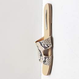 Steve Madden Women's Snake Print Leather Slide Sandals Size 8.5 alternative image