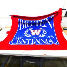 VNTG Big Ten Centennial 1896-1996 Wisconsin Badgers Football Blanket 3 Strikes alternative image