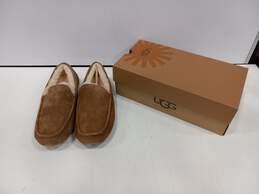 Ugg Men's Ascot 5775 Brown Shoes Size 13 IOB