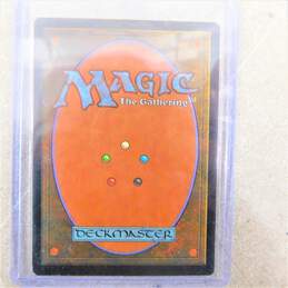 Magic The Gathering MTG Pendelhaven Anthologies Card alternative image