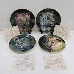 Bundle of 4 Cubs of the Big Cats Collector Plates