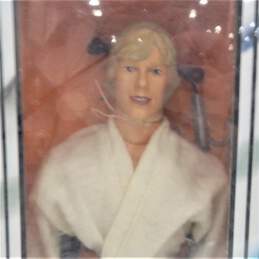 Star Wars Luke Skywalker 12”The Original Trilogy Collection Action Figure NIB alternative image