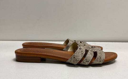 Vince Camuto Graciela Snakeskin Print Brown Slide Sandals Women's Size 6 image number 3