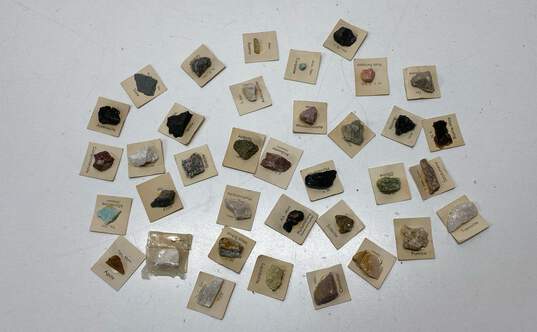 Assorted Rock and Bug Collection with Cases image number 4