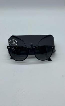 Ray Ban Black Sunglasses - With Case