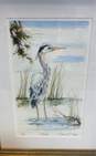 "Posing" Print of Blue Heron in the Wetlands by Stephen D. West Signed image number 4
