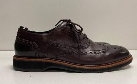 Cole Haan Leather Wingtip Oxford Dress Shoes Dark Brown 8 image number 3