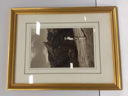 Framed Savageau Gallery Mountain Photograph