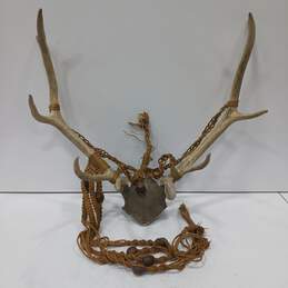 10 Point Buck Antlers with Skull Cap Decor Man Cave