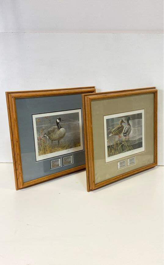 Lot of 2 Framed Duck Prints with Stamps by Robert Bateman Limited Edition image number 2