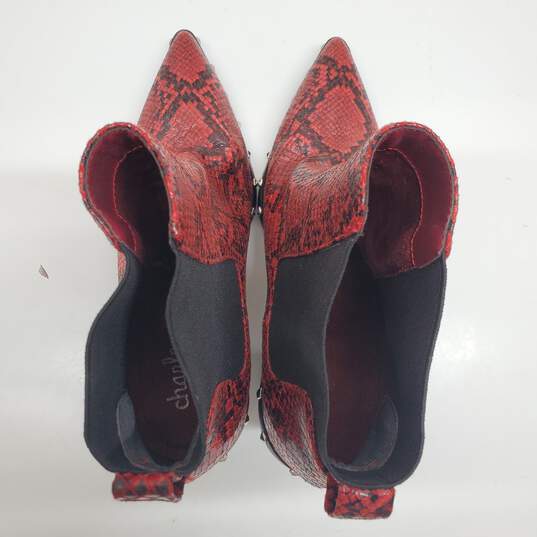 Charles David Shoes Red Dodger Point Toe Bootie in Snake Print Women's Size 9 image number 7