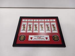 Framed Chicago Bulls NBA World Champions Banner Collection