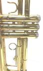 Palm Winds Trumpet PTR1307149 image number 6