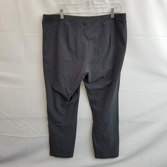 Eileen Fisher Women's Gray Viscose Stretch Pants Size L image number 2