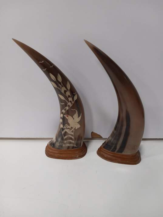 2pc Set of Carved Water Buffalo Horns image number 2