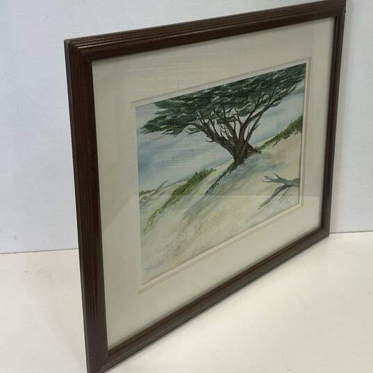 Cypress Tree at the Coast Watercolor Signed. Contemporary Matted & Framed image number 2