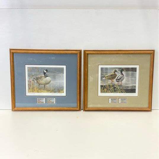 Lot of 2 Framed Duck Prints with Stamps by Robert Bateman Limited Edition image number 1