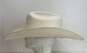 Stetson Stallion Maximo 100X Shantung Straw Cowboy Hat Size 7 5/8 Natural/Beige image number 4