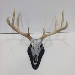 Dipped and Bedazzled Deer Taxidermy Mount Skull