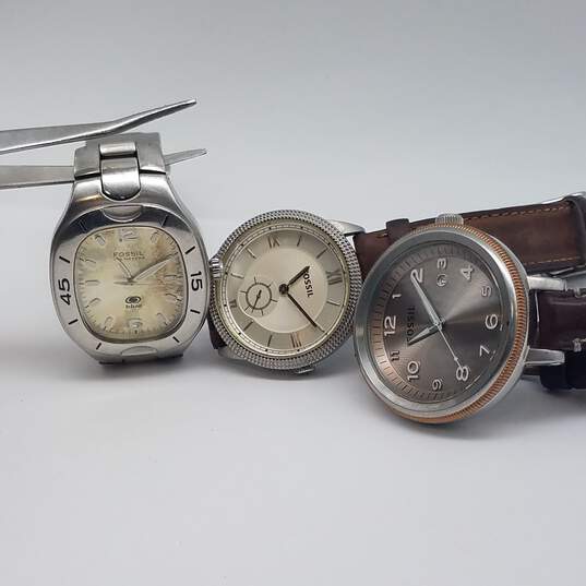 Fossil Mixed Models Analog Bundle of Three image number 1