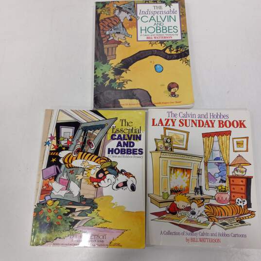 Lot of 8 Calvin and Hobbes books image number 3