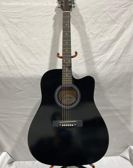 Ashthrope Acoustic Guitar image number 1