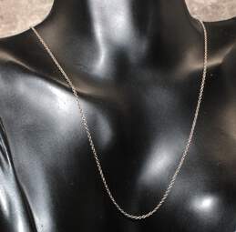 Tiffany & Co. Elsa Peretti 15.75" Rolo Chain Necklace