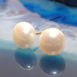 10K Yellow Gold Button Pearl Stud Earrings
