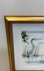 "Posing" Print of Blue Heron in the Wetlands by Stephen D. West Signed image number 3