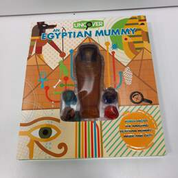 Uncover Egyptian Mummy Play Set
