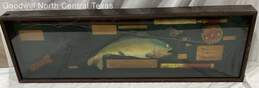 Unbranded Multi Wood Fishing Shadow Box