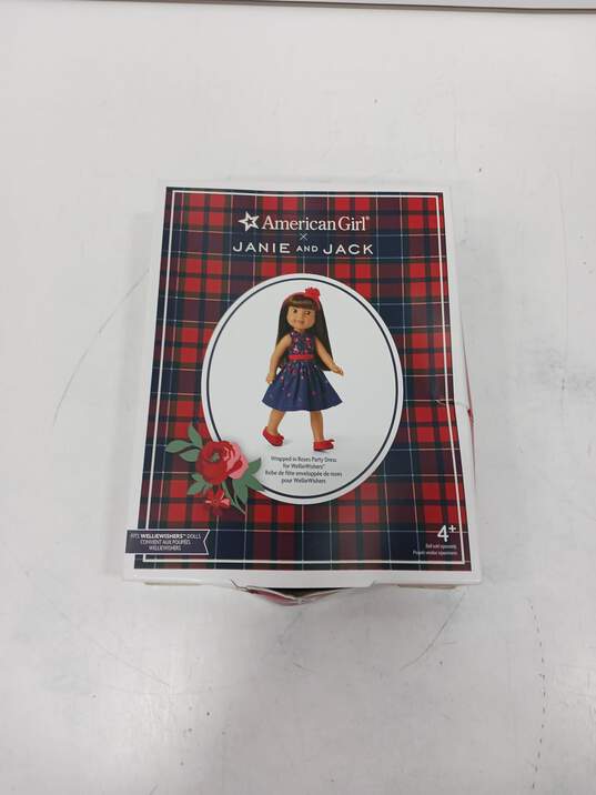 American Girl X Janie and Jack Roses Party Dress IOB image number 1