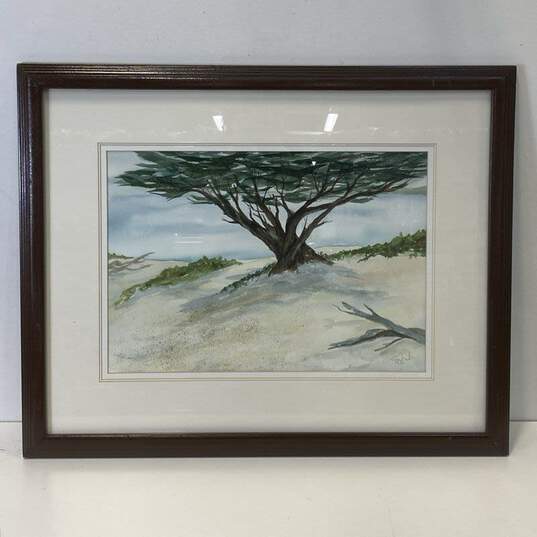 Cypress Tree at the Coast Watercolor Signed. Contemporary Matted & Framed image number 1