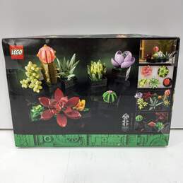 Lego Botanical Collection Succulents Building Set #10309 alternative image