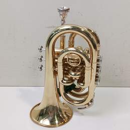 Stagg WS-TR245 Pocket Trumpet w/Case alternative image
