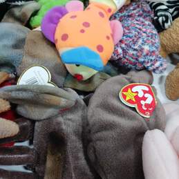 18 Pounds Of Assorted Beanie Baby Toys alternative image