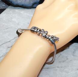 Pandora 7.25" Sterling Silver Charm Bracelet