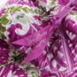 Bundle of Assorted Multicolor Vera Bradley Bags image number 7