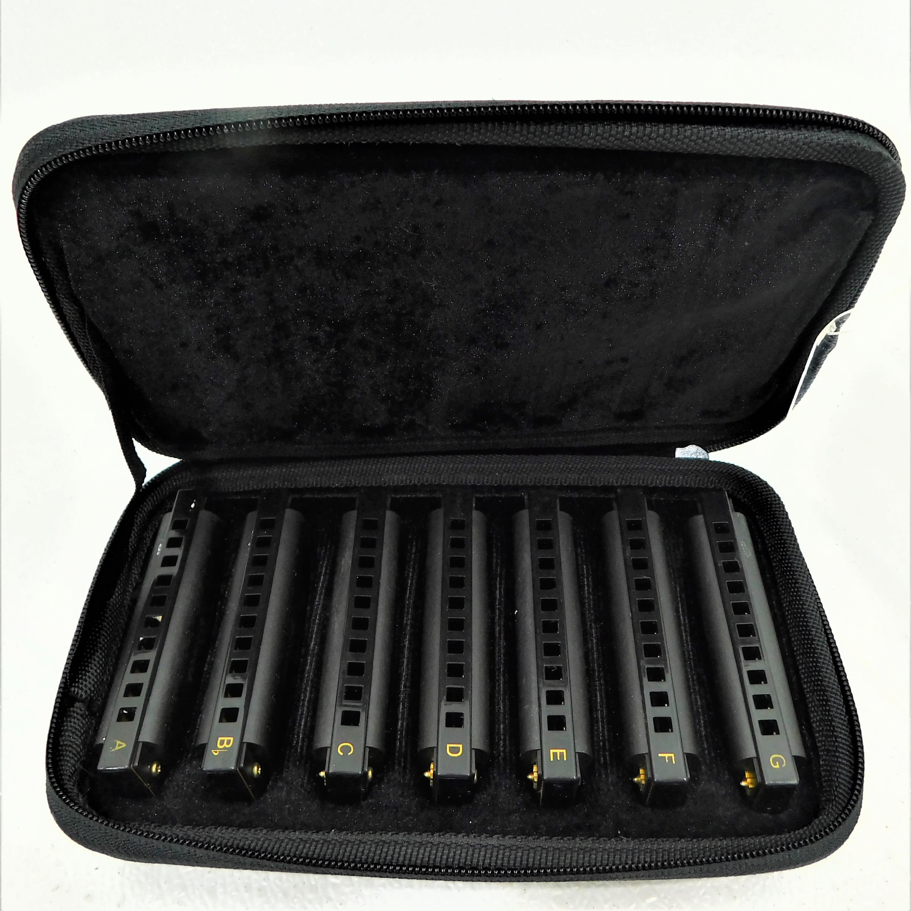 Piedmont blues online harmonica set