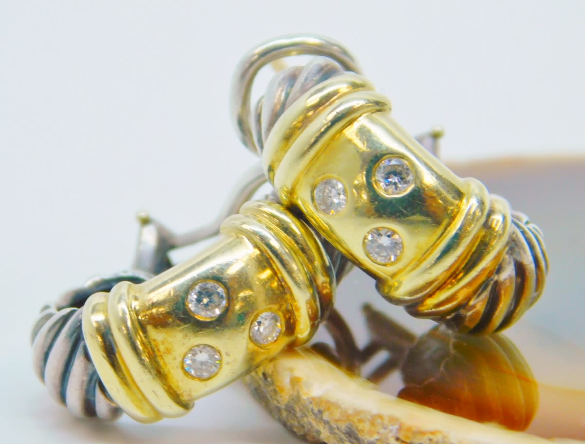 Terra Newport Earrings in 14k Gold - 14k Yellow Gold